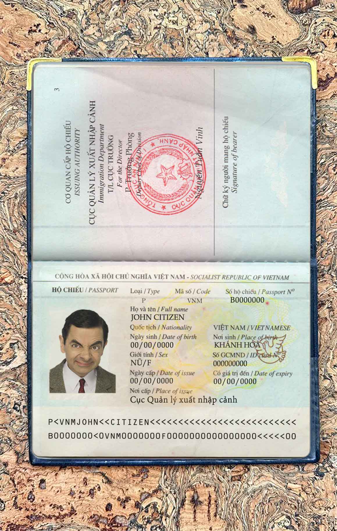 Vietnam passport photo look PSD template